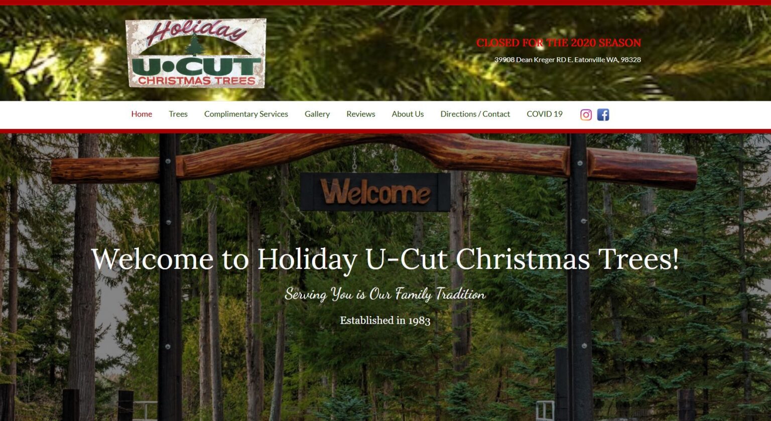 Holiday UCut Christmas Trees  Design  Design Envision