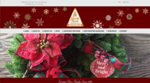 Web Design and Hosting for Snowshoe Evergreen