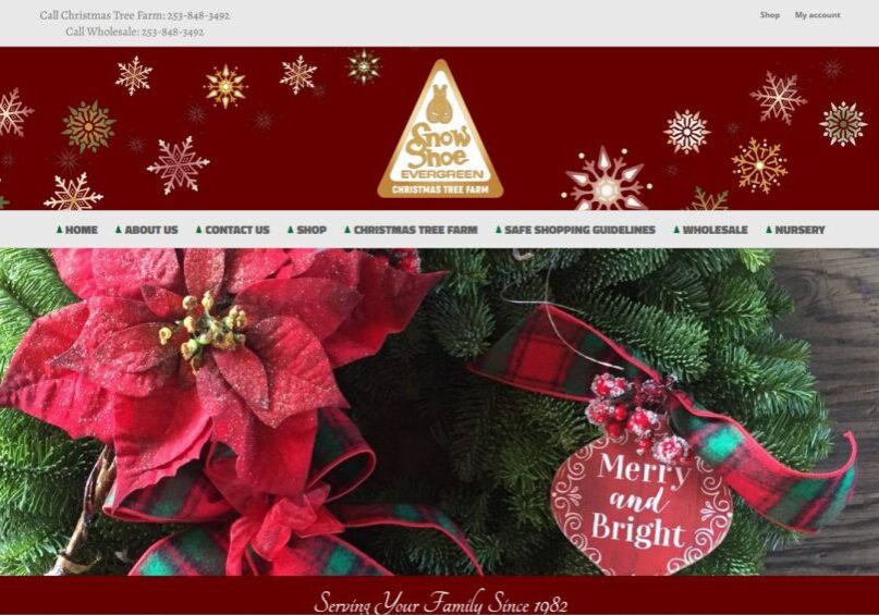 Web Design and Hosting for Snowshoe Evergreen